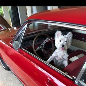 Meet your Posher, Angel